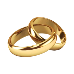 Two elegant gold wedding rings intertwined on a transparent background representing love, commitment, and marriage.